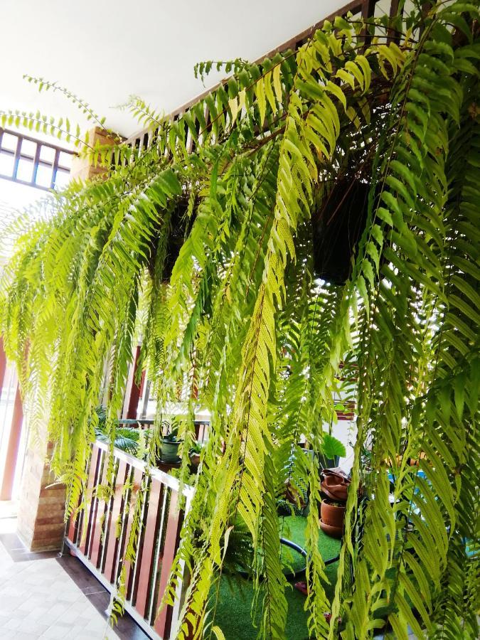 Bed and Breakfast Wilderness Бан-Чанг Экстерьер фото